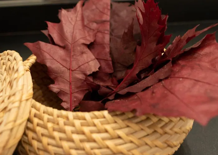 Confort Y Diseno Con Vistas Al Casco Viejo *