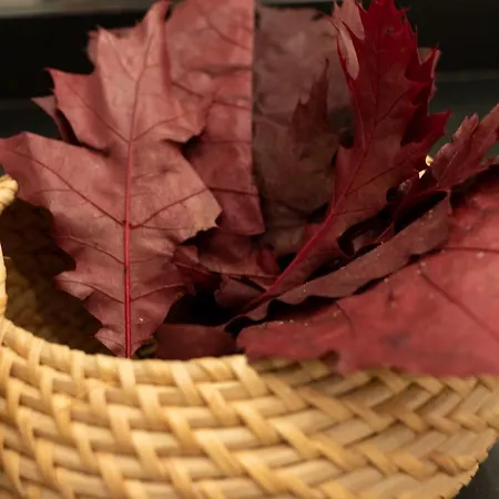 Confort Y Diseno Con Vistas Al Casco Viejo *